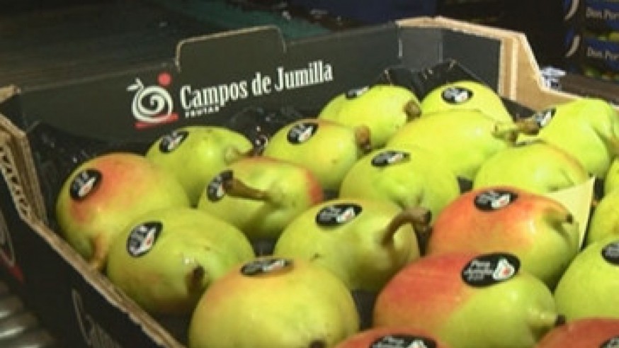 PLAZA PÚBLICA. Una razón de peso. 'Campos de Jumilla' dona más de 100 kg de pera con Denominación de Origen a la ONG ACCEM