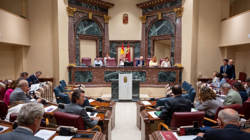 La Asamblea impulsa la equivalencia entre dependencia y discapacidad