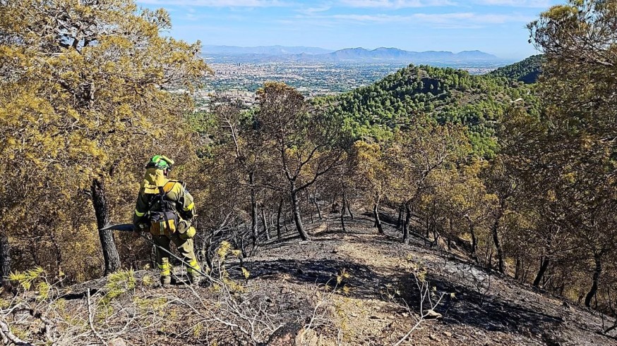 Extinguido el incendio forestal declarado en El Valle tras cncendio forestal declarado en El Valle tras calcinar 2'2 hectáreas de monte