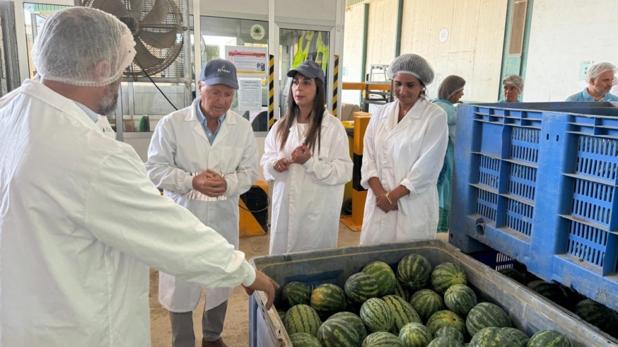 La producción de sandía en la Región se incrementa casi un 22 por ciento esta campaña