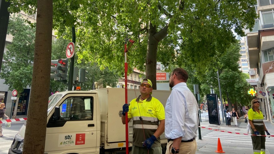 El Ayuntamiento de Murcia retira ramas bajas en aceras, carriles bici y vías de circulación