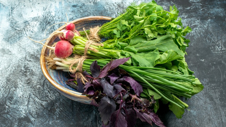 La Magia de las Plantas. Las verduras silvestres de la primavera