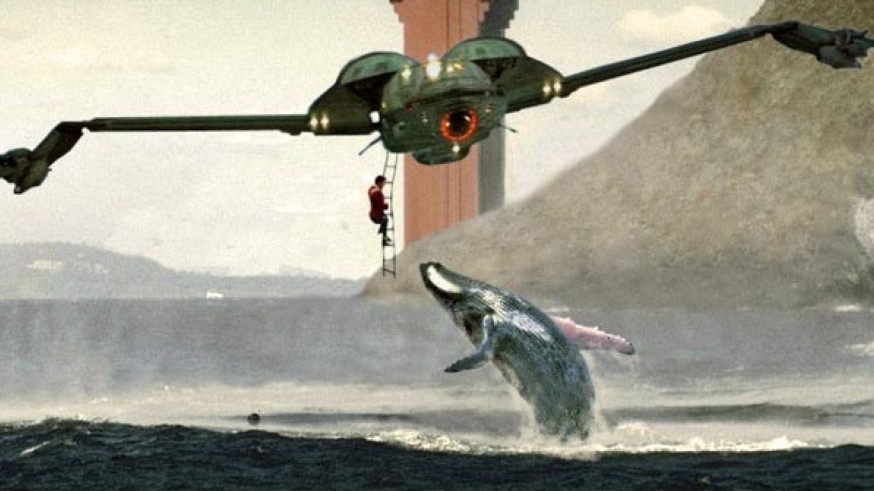 VIVA LA RADIO. Pretexto sonoro. Día Mundial de las Ballenas y los Delfines