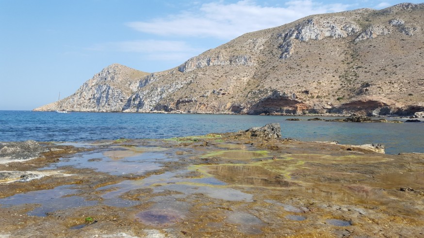 Ecologistas en Acción exige la aprobación del Plan de Ordenación del Parque Regional Cabo Cope y Puntas de Calnegre