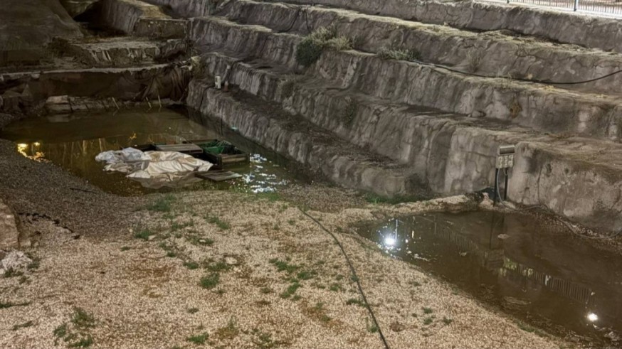 Raticos arqueológicos. Las inundaciones en un yacimiento