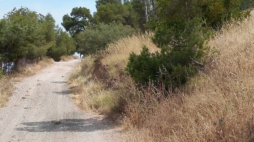 Bicihuerta reclama un plan de pastoreo regional como medida antiincendios