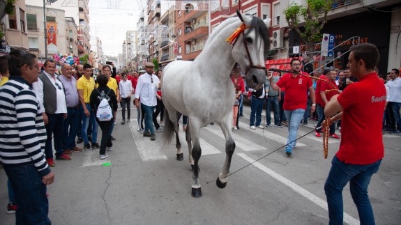 Pampero, el caballo ganador en el concurso morfológico
