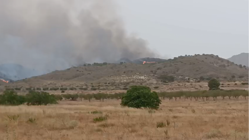El incendio de Fuente Álamo obliga a desalojar a 42 personas de 14 viviendas