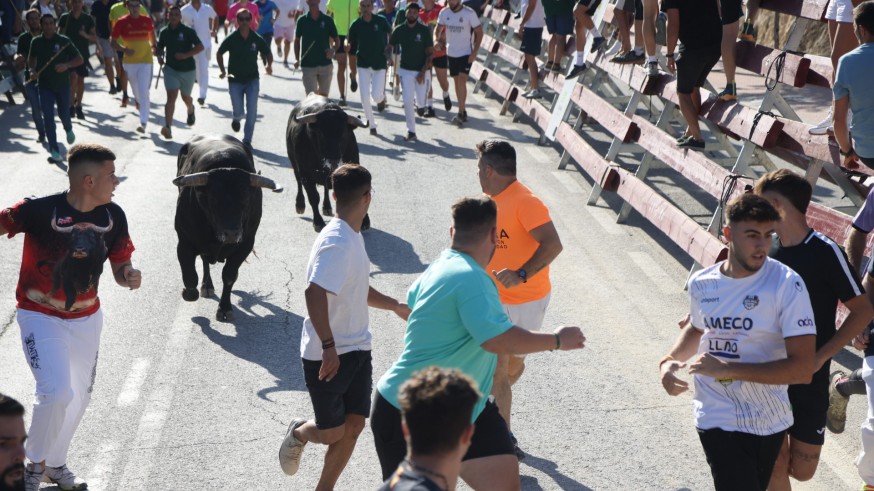 Sin heridos en el cuarto encierro de Calasparra