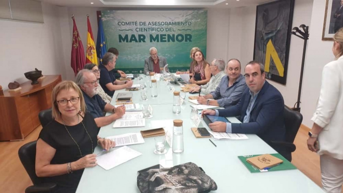 El Mar Menor se recupera, pero persiste el temor a otro episodio de “sopa verde”