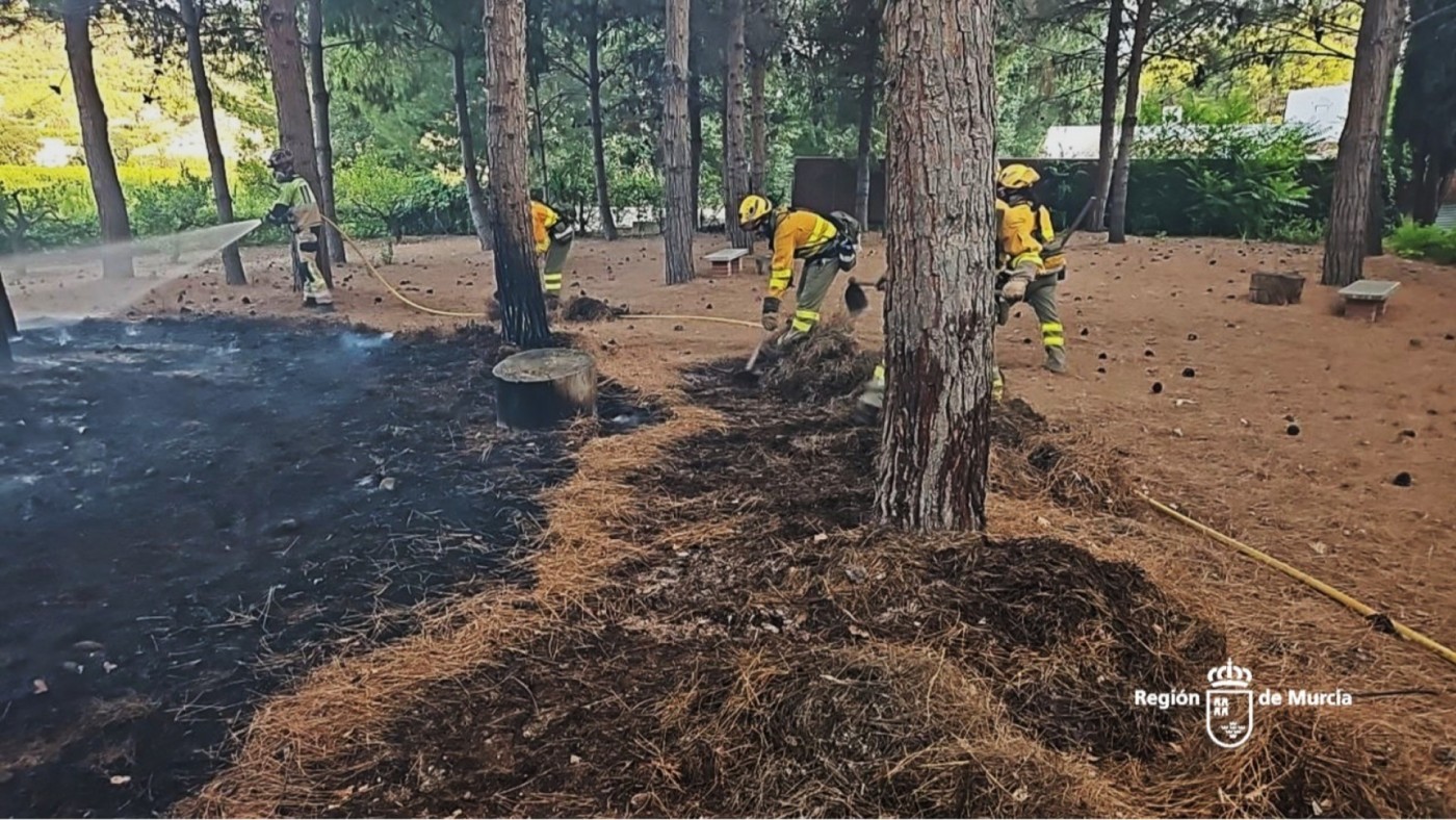 Extinguido un incendio en El Argaz, en Cieza, tras afectar a 400 metros cuadrados este domingo
