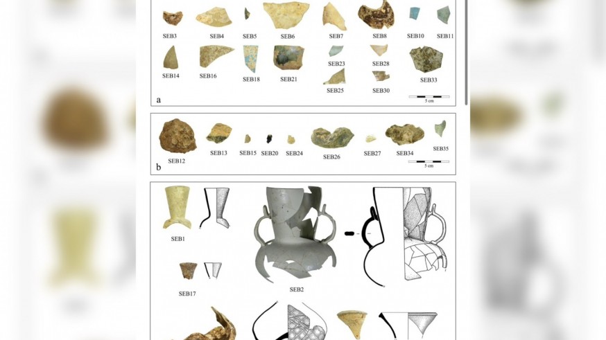 Raticos arqueológicos. La arqueobotánica