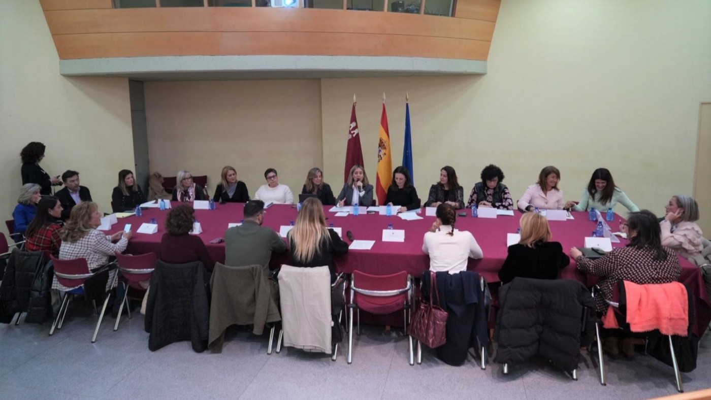 El CES aprueba por unanimidad el Plan regional de Servicios Sociales
