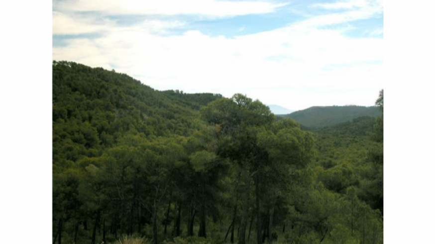 Conociendo Sierra Espuña. La senda de la Umbría del Río