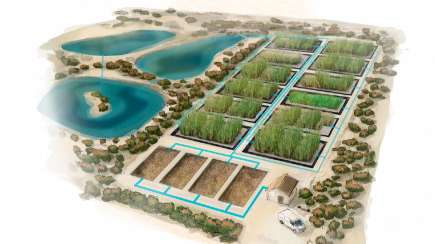Los filtros verdes del Albujón y Los Alcázares reciben luz verde ambiental para frenar los nitratos del Mar Menor