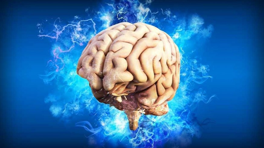 El aprendizaje del cerebro durante el sueño