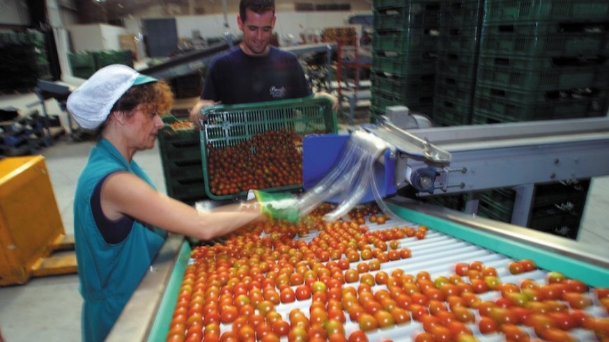 Una empresa alimentaria de Abarán busca 200 trabajadores 
