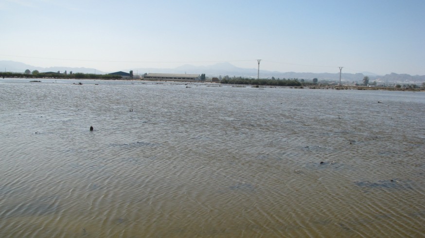 Daños de la riada de septiembre de 2012 en Lorca