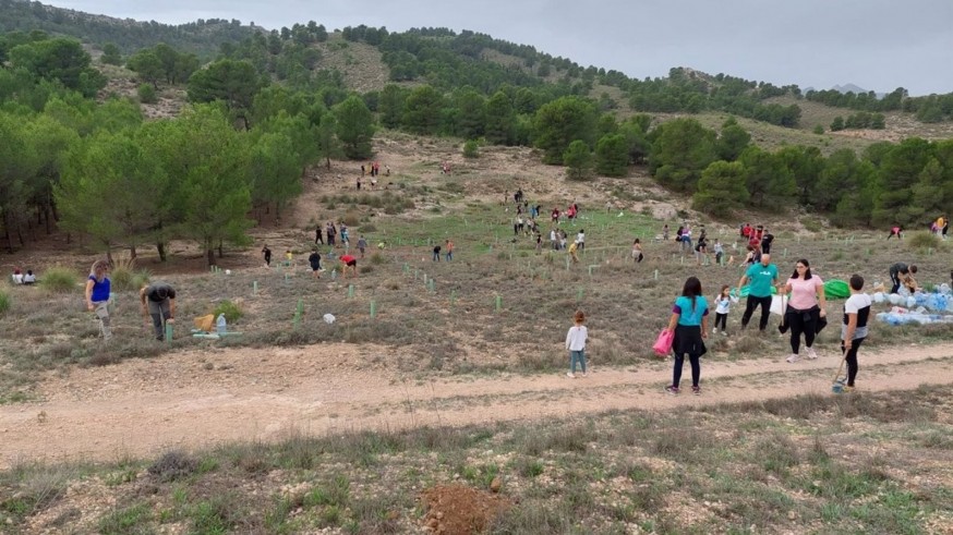 ANIDA pide que se paralice la tala de árboles en el Monte Castillarejos