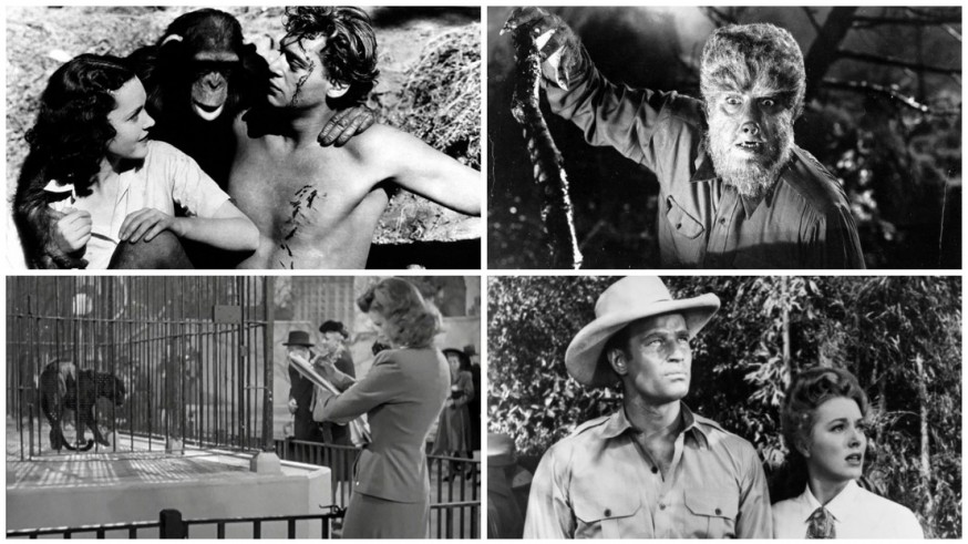 Fotogramas de las cuatro películas de las que hablamos con José Antonio Molina