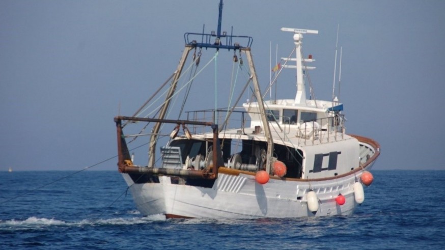 Las medusas reducen en un 90 por ciento la pesca en el Mar Menor