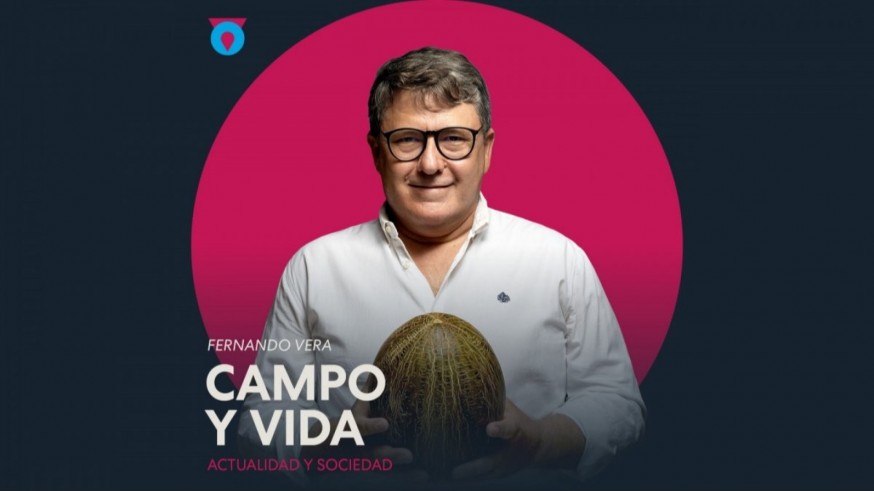 La campaña del arroz