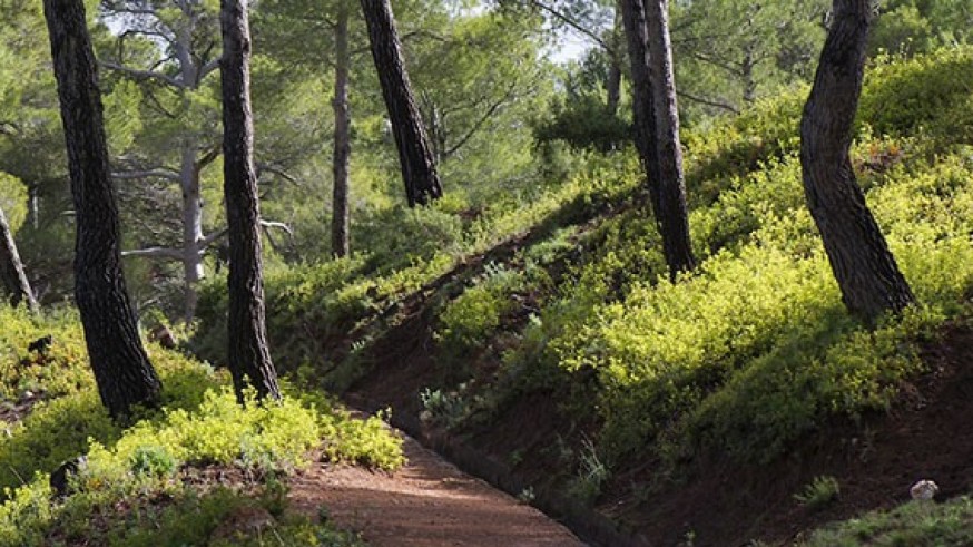 Conociendo Sierra Espuña. Conexión vía verde de Aledo a Las Terreras, Lorca