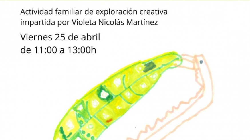 Noticias desde el Museo de la Ciudad