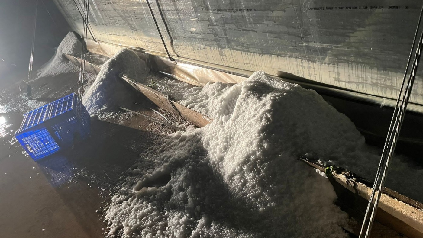 Una importante granizada sorprende a los vecinos y agricultores en la zona de San Javier