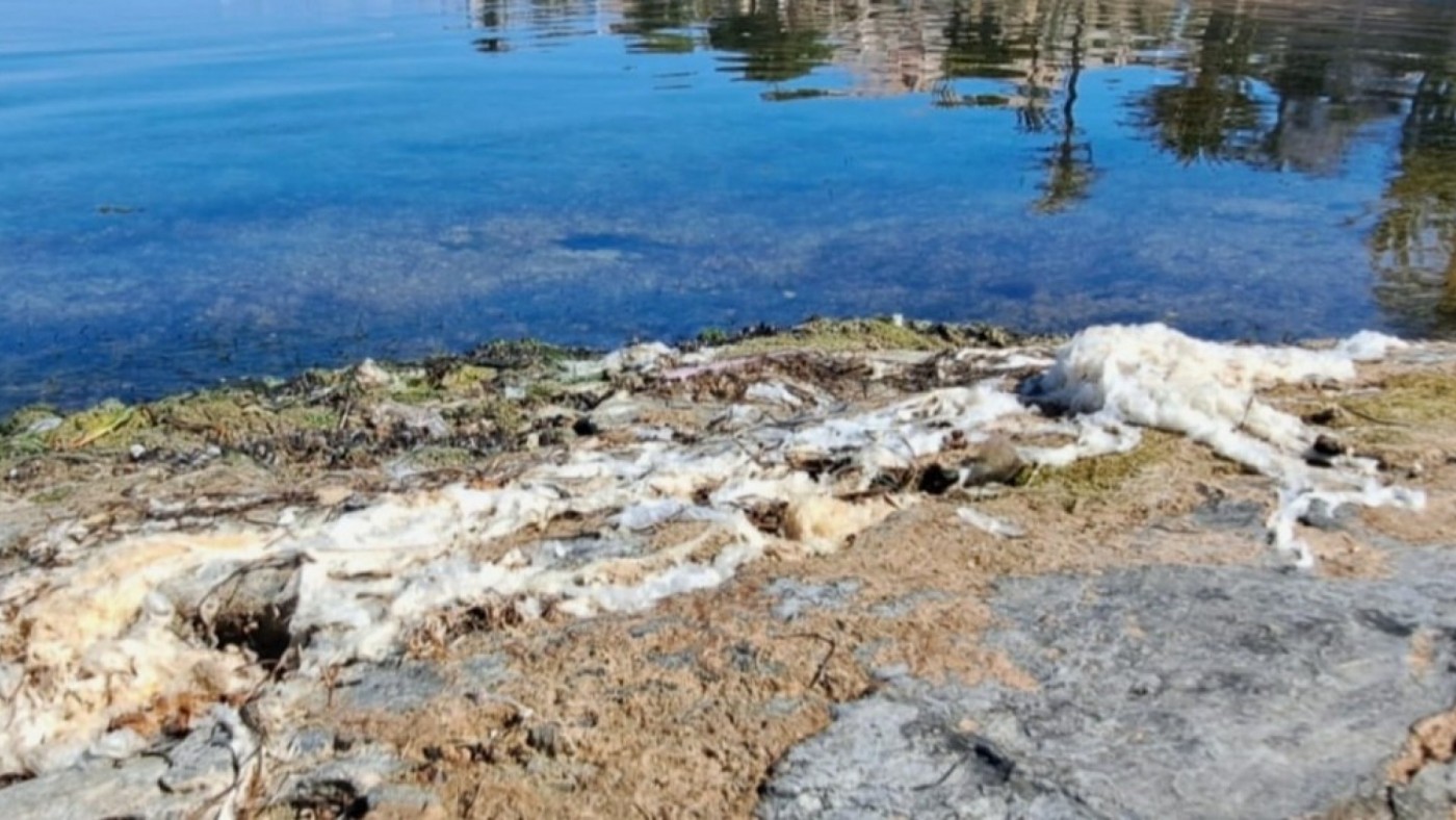 'Pacto por el Mar Menor' califica de "alarmante" la presencia de plásticos en la laguna