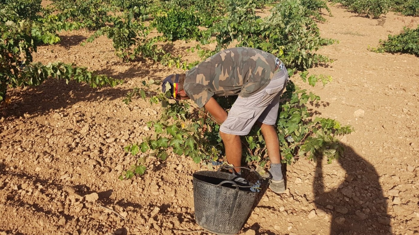 Asaja considera que la cesión de parcelas a jóvenes agricultores es una "herramienta exclusivamente política"
