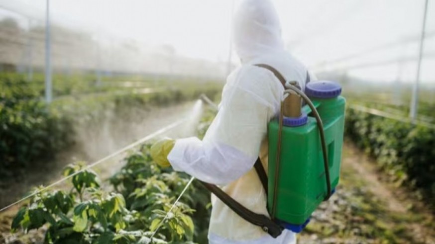 Ecologistas alertan del aumento de residuos de plaguicidas en la fruta consumida en España