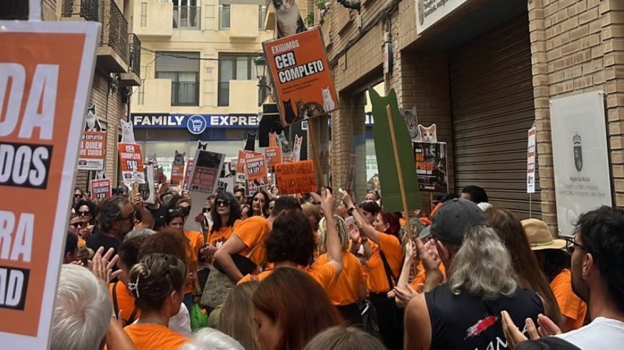 Cerca de un millar de personas pide en Murcia que se aplique la ley de gestión de colonas felinas