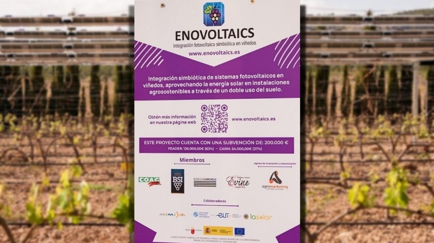 Con Patricia Jiménez y David Ferrage (Bodegas Carchelo) hablamos del proyecto Enovoltaics, donde paneles solares y viñedos comparten terreno