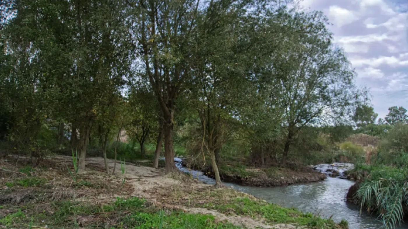 El meandro del Vivillo en el cauce del Segura a su paso por Murcia volverá a su estado original