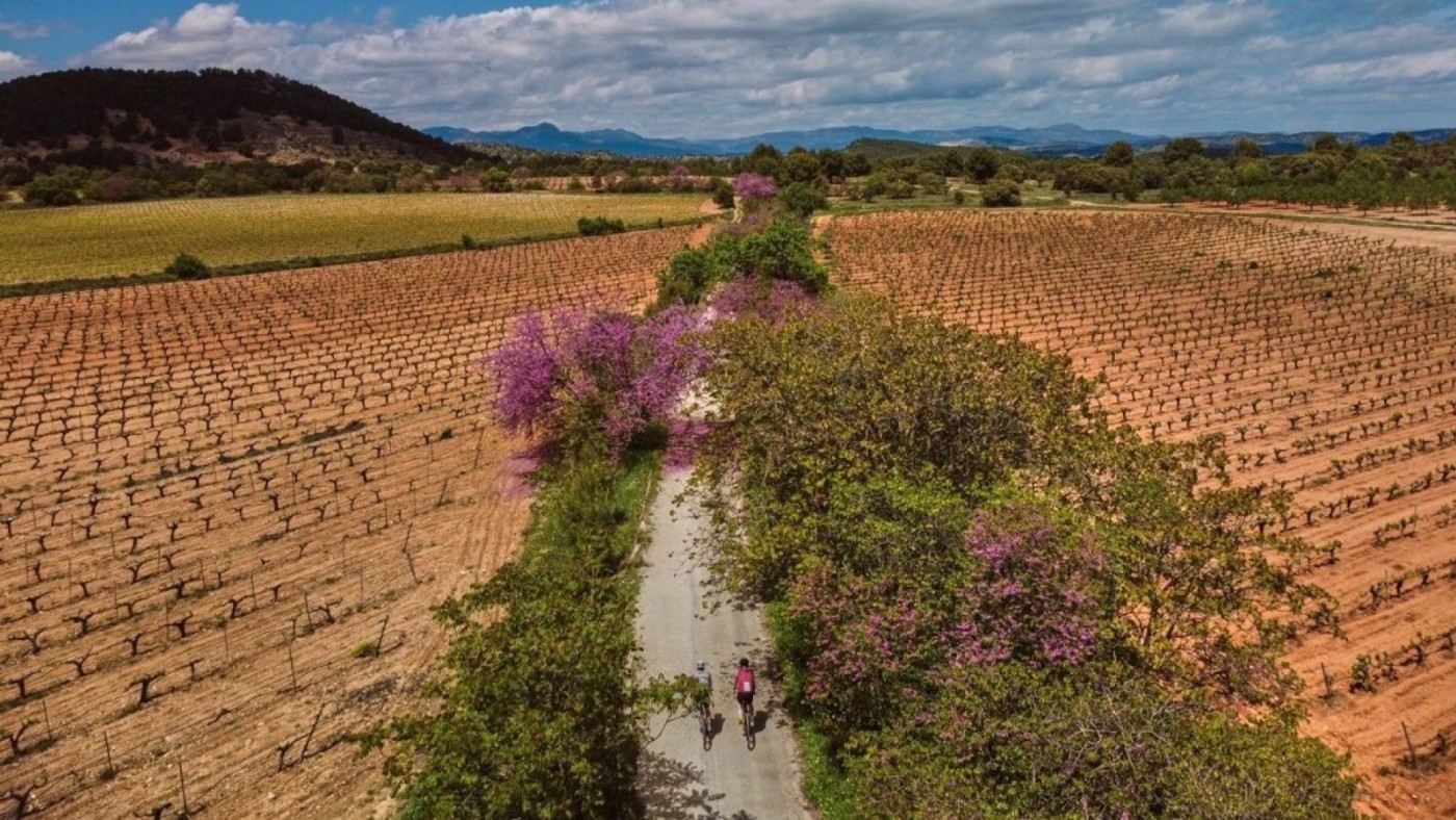 Turismo conectará la Vía Verde del Chicharra de Yecla y Cieza
