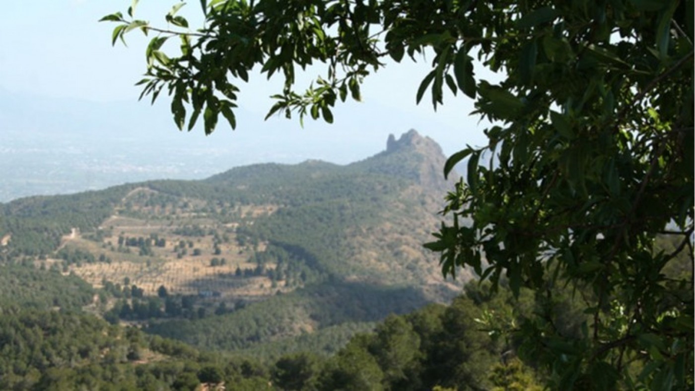 La Asamblea insta al Gobierno regional a aprobar en un año el plan de protección del Valle-Carrascoy pendiente desde hace 34 años
