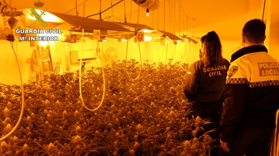 La Guardia Civil desmantela una plantación 'indoor' de marihuana en Puerto Lumbreras