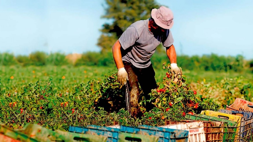 El campo murciano afronta un sobrecoste de 960.000 euros diarios por la escalada de precios ligada al conflicto en Oriente Medio