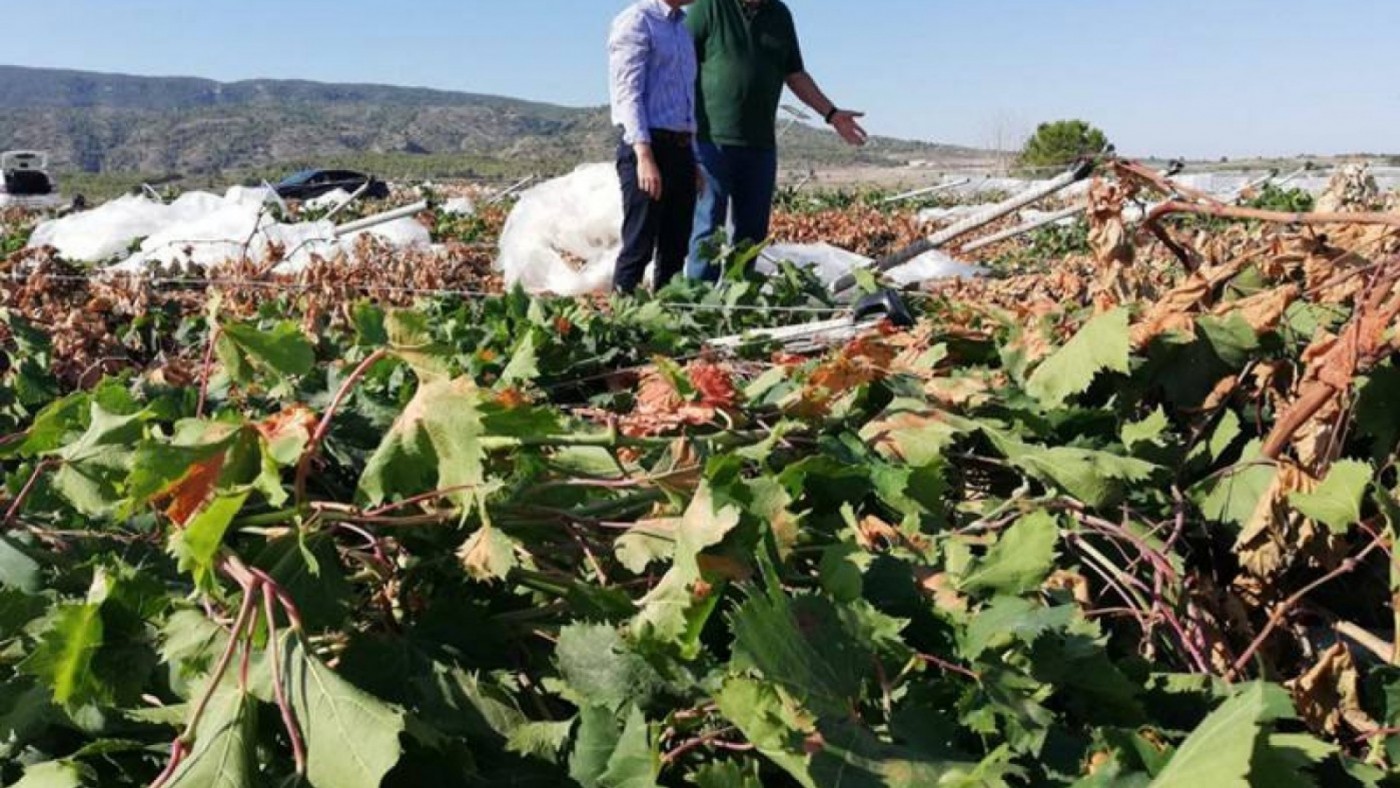 UPA reclama el fondo agrario íntegro para 2026