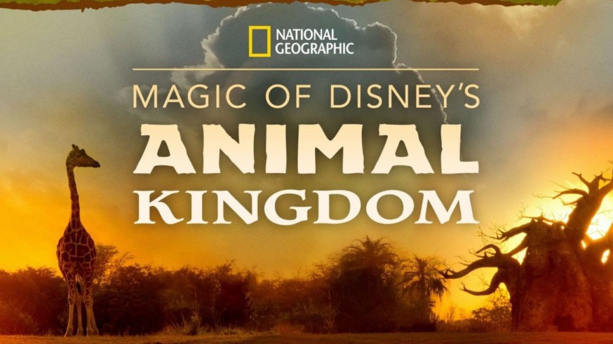 En serie con Mar Grandío. 'La magia de Disney's Animal Kingdom'