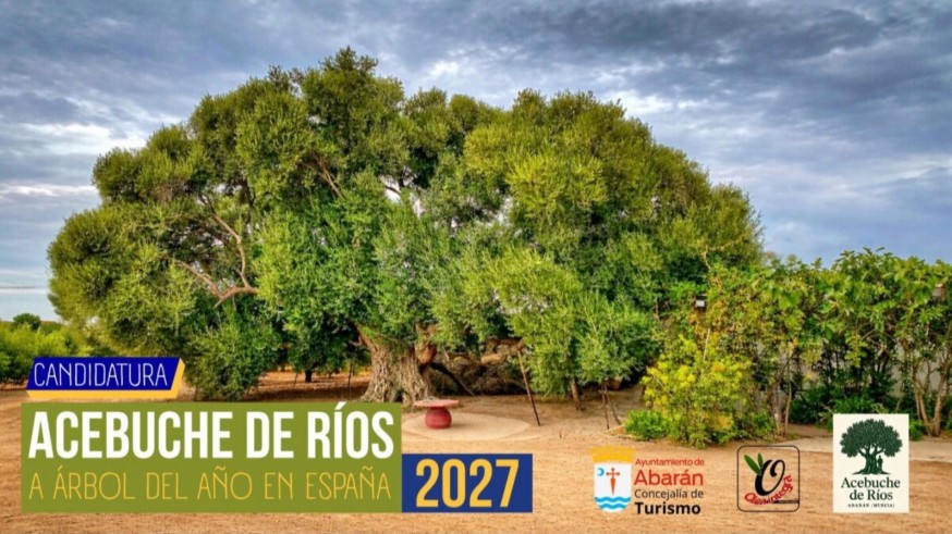 la Región busca el reconocimiento nacional para sus joyas naturales en el certamen "Árbol y Bosque del Año 2027"