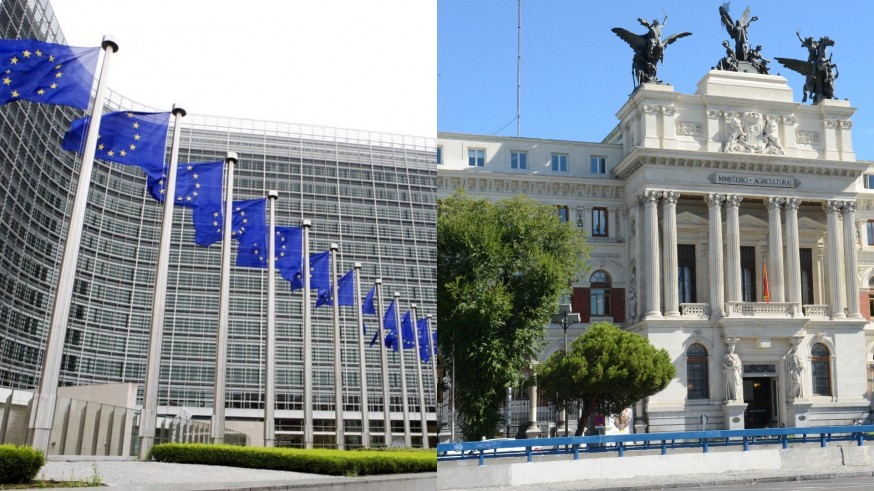 Marín (COAG) considera "insuficientes" las políticas de relevo generacional