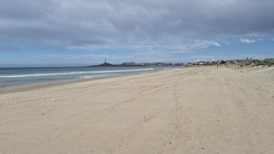 Playas limpias de medusas en Cartagena esta Semana Santa