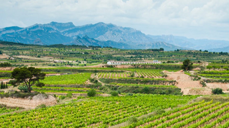 La agricultura famiilar incide en la cohesión territorial. UPA