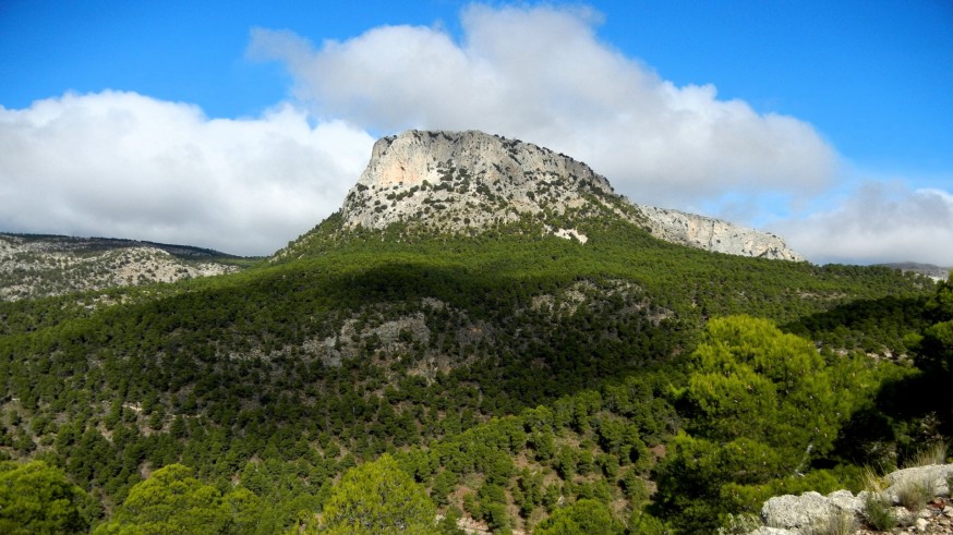 15 mil personas visitan Sierra Espuña al año