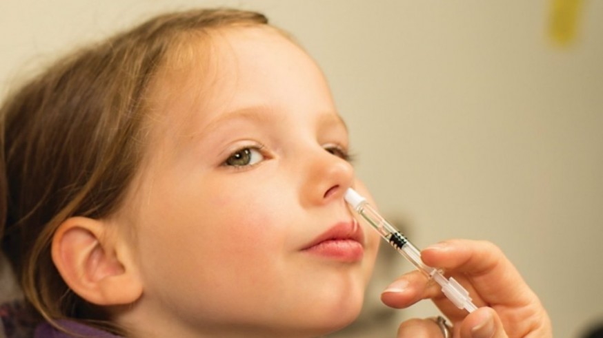 La vacuna intranasal de la gripe protege a los menores contra el estreptococo A