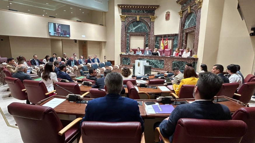 La Asamblea rechaza priorizar a los españoles para acceder a las ayudas sociales 