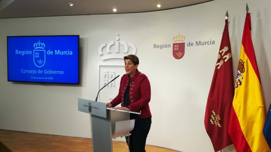 Arroyo en la rueda de prensa tras el Consejo de Gobierno