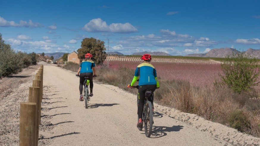 Que las vías verdes sean verdes pero también accesibles